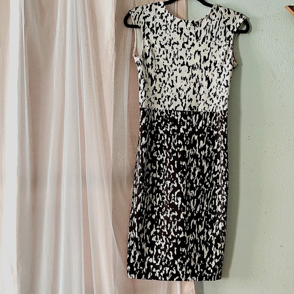 Zara dress